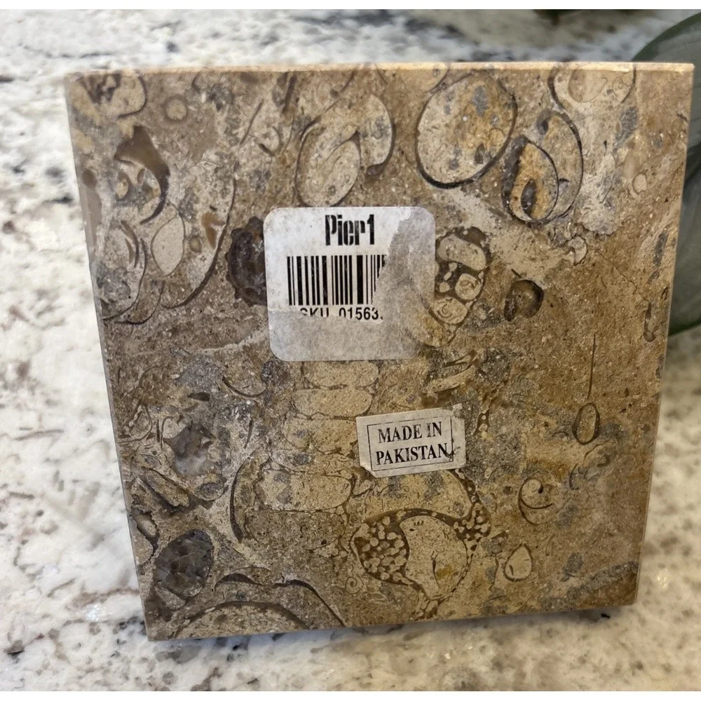 Pier One Fossil Stone Paperweight Pyramid Chakra Feng Shui Architectural Office